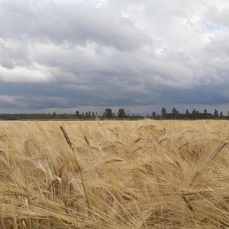 B&B De Hemelse Polder Синт Лаурайнс Екстериор снимка