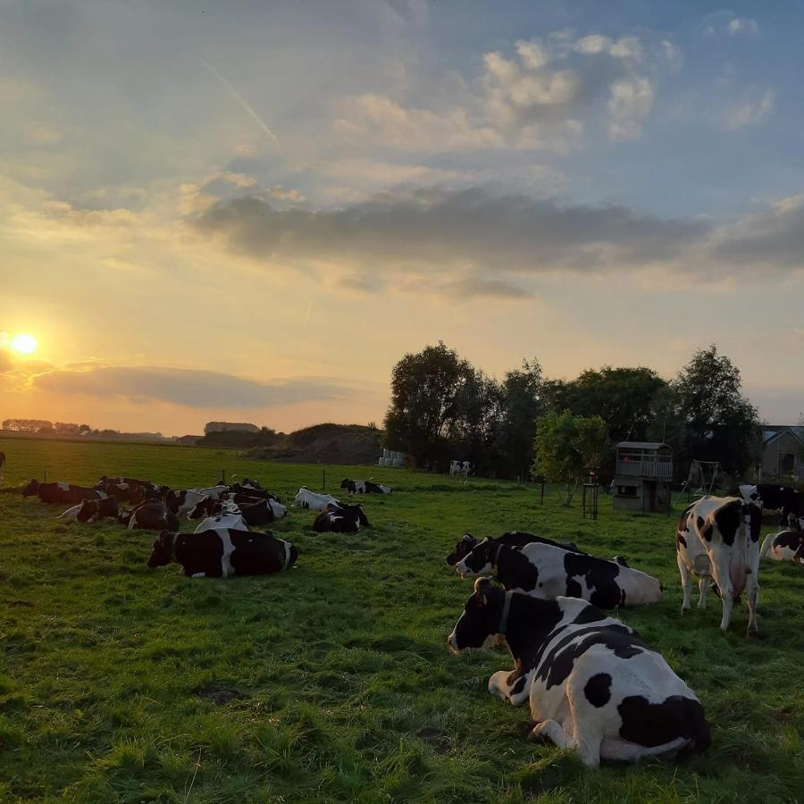 B&B De Hemelse Polder Синт Лаурайнс Екстериор снимка