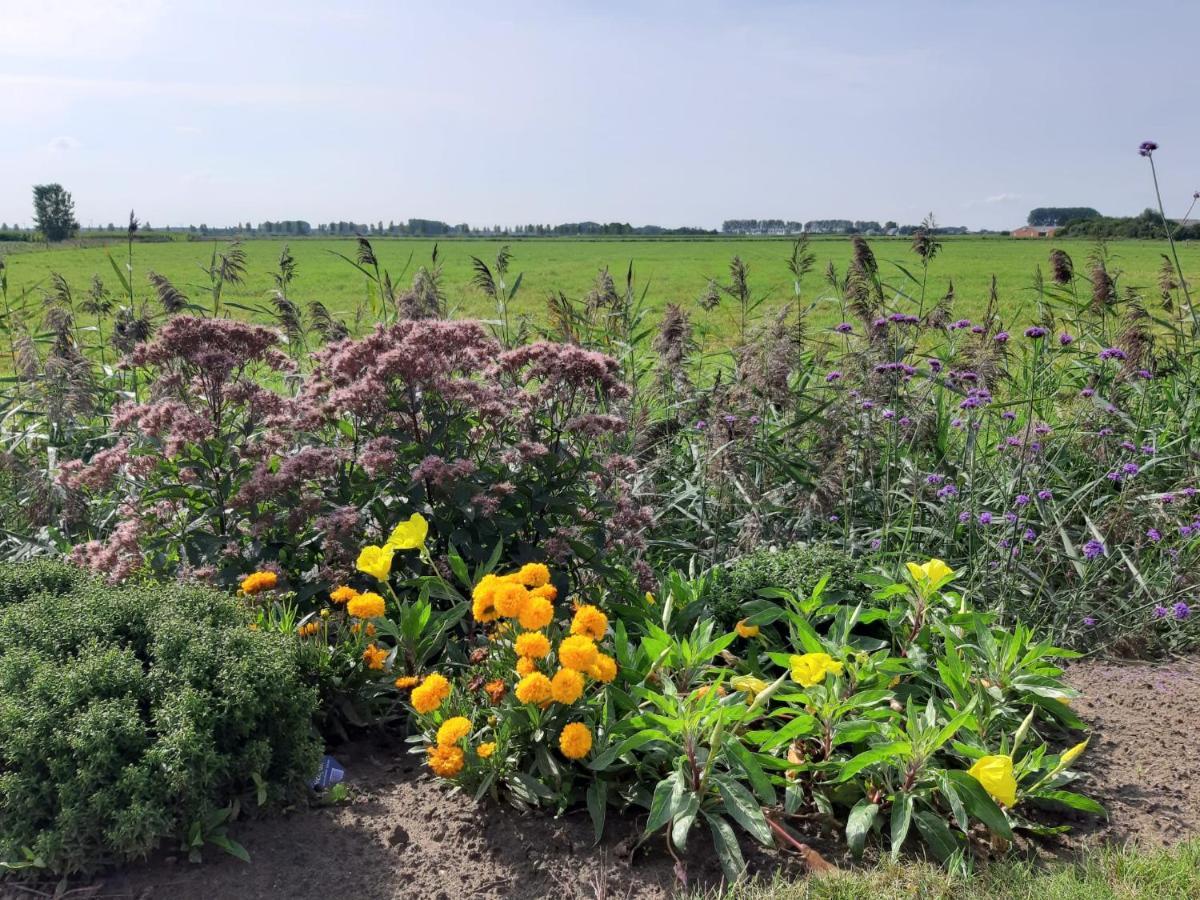 B&B De Hemelse Polder Синт Лаурайнс Екстериор снимка